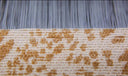 Do sertão à indústria - Jacquard de Algodão Orgânico