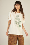 CAMISETA REGULAR ORIGEM DANTES ALGODAO ORGANICO