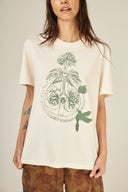 CAMISETA REGULAR ORIGEM DANTES ALGODAO ORGANICO