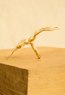 ANEL ARANHA PEQUENO